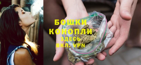 метадон Богданович