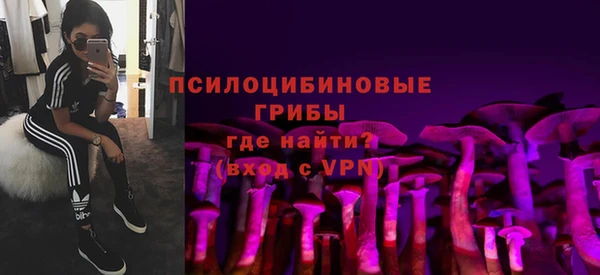 ALPHA PVP Богородицк
