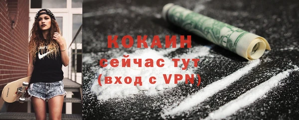 метадон Богданович