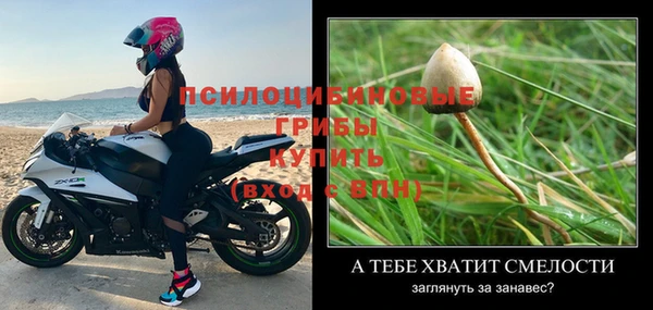 метадон Богданович