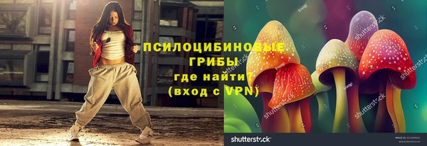 2c-b Богородск