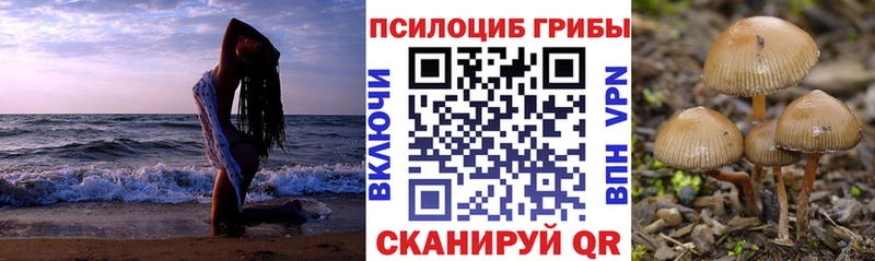 Галлюциногенные грибы Psilocybine cubensis  Зеленогорск 